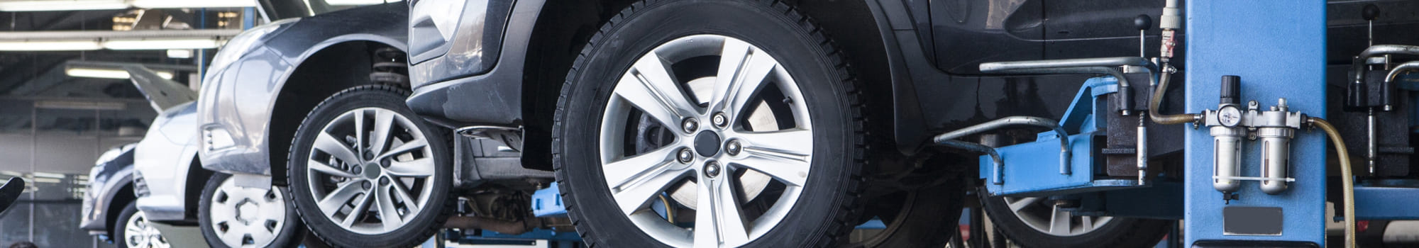 プライバシーポリシー